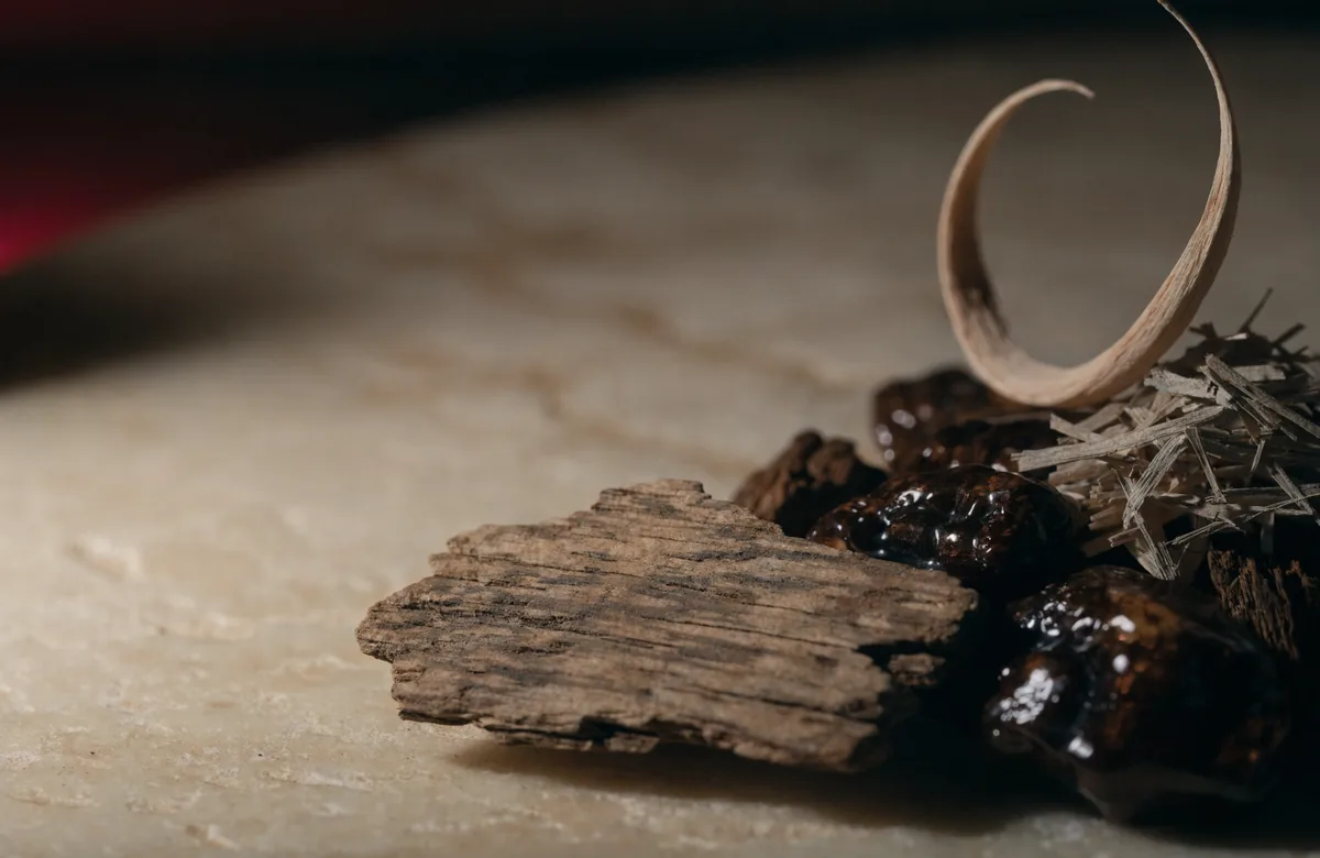 Aged oud, sandalwood and cedar